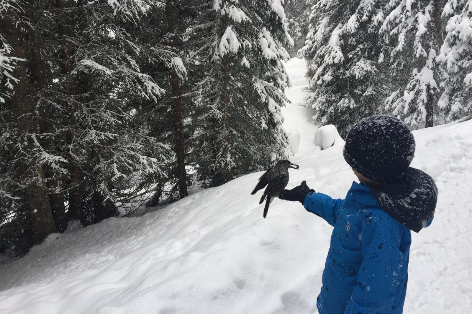 Kind steht im verschneiten Wald und füttert einen Vogel. Wir haben Tipps für Winter-Aktivitäten, die Kindern und Erwachsenen Spass machen.