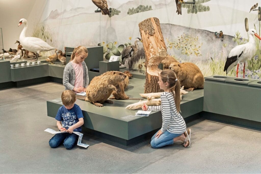 Drei Kinder entdecken die Exponate des Naturmuseums St. Gallen. - Ostschweiz mit Kindern bei Regen - unsere erprobten Tipps