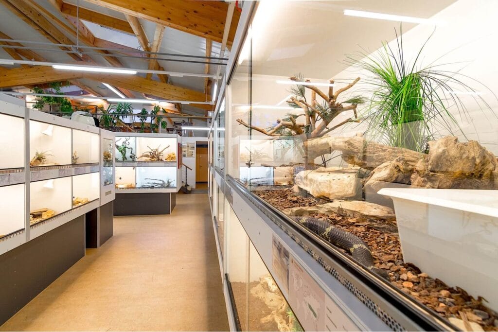 Blick ins Schlangenmuseum Eschlikon mit diversen Terrarien, rechts ist eine schwarz-beige Schlange erkennbar. - Ostschweiz bei Regen