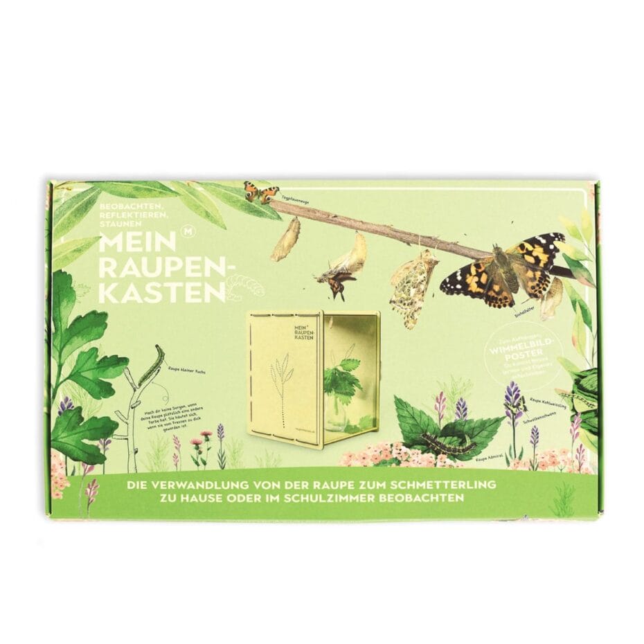 Raupenkasten für die Aufzucht von Schmetterlingen