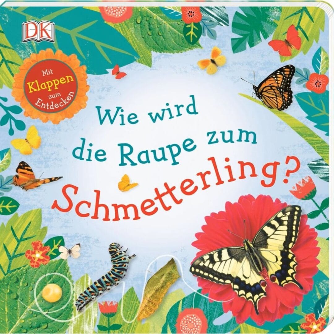 Buch wie wird die Raupe zum Schmetterling?