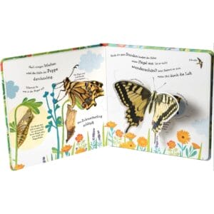Buch wie wird die Raupe zum Schmetterling?