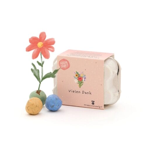 Die 6 grünen Blumenmurmeln im Mini-Eierkarton enthalten Wildblumen-Saatgut