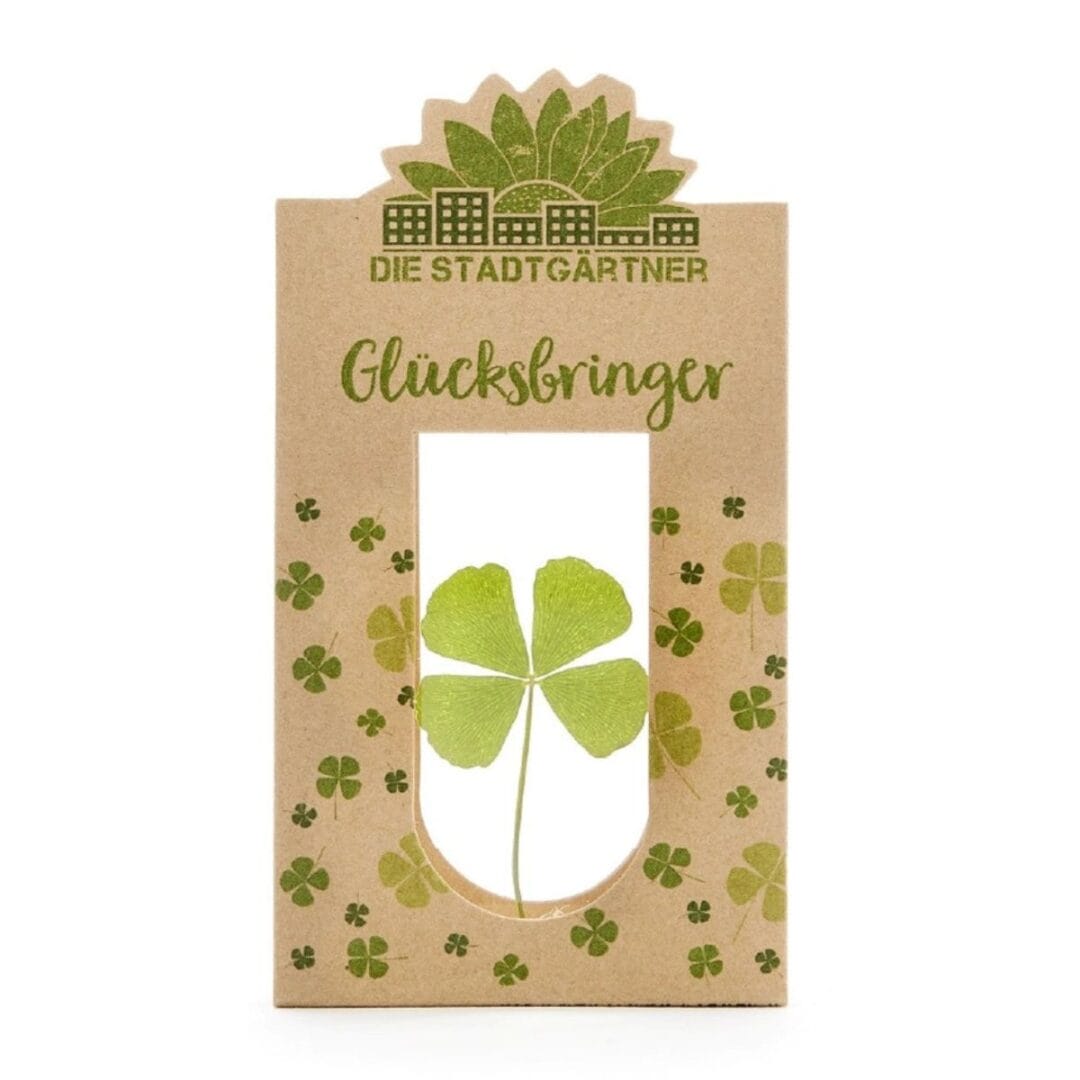 Der Glücksbringer mit einem echten vierblättrigen Kleeblatt.