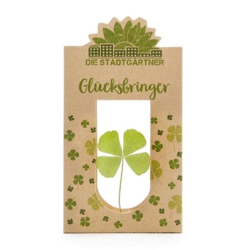 Der Glücksbringer mit einem echten vierblättrigen Kleeblatt.