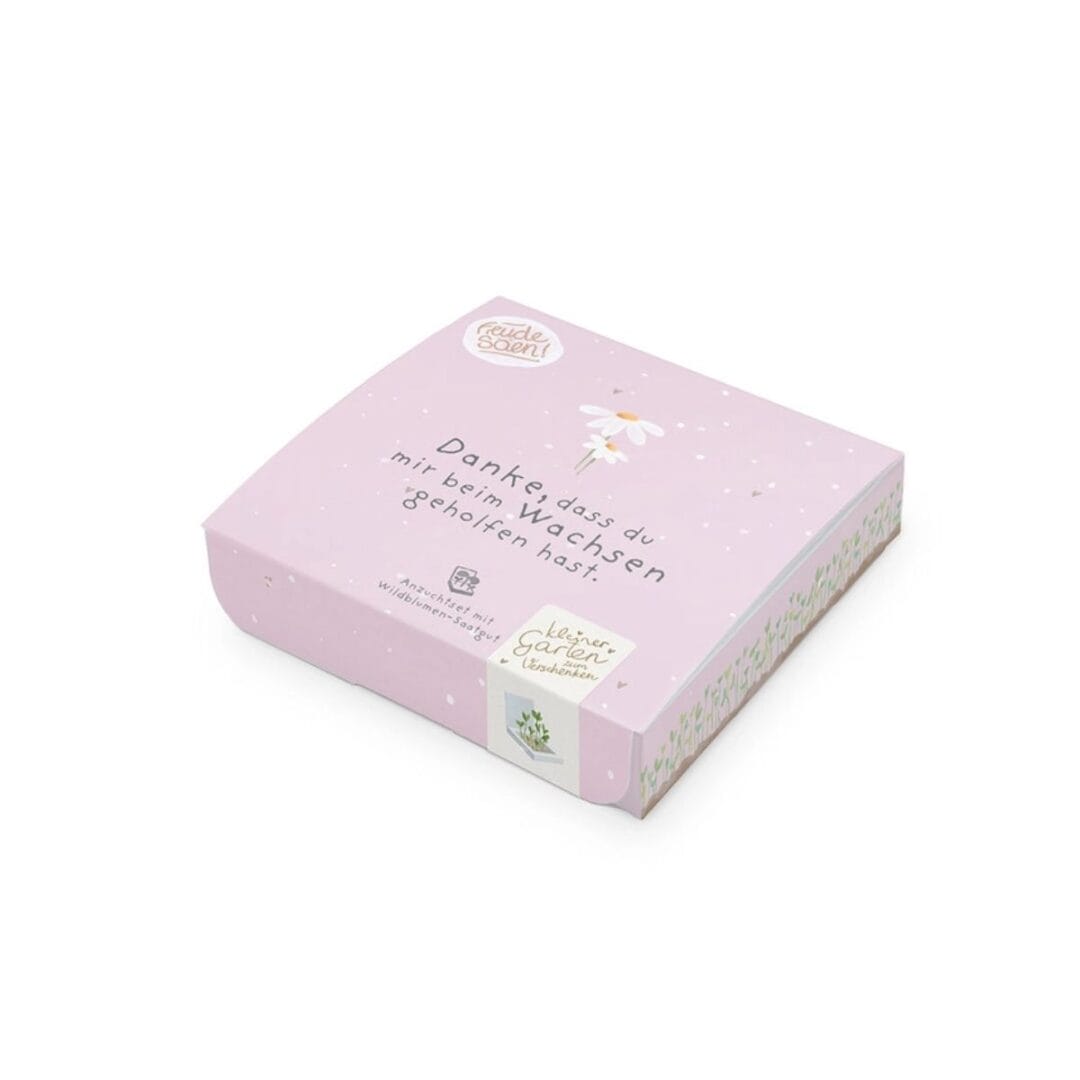 Aus dem Pflanzkästchen "Dankschön" wachsen Wiesen-Margeriten.