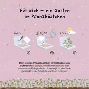 Aus dem Pflanzkästchen "Dankschön" wachsen Wiesen-Margeriten.