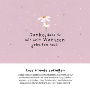 Aus dem Pflanzkästchen "Dankschön" wachsen Wiesen-Margeriten.