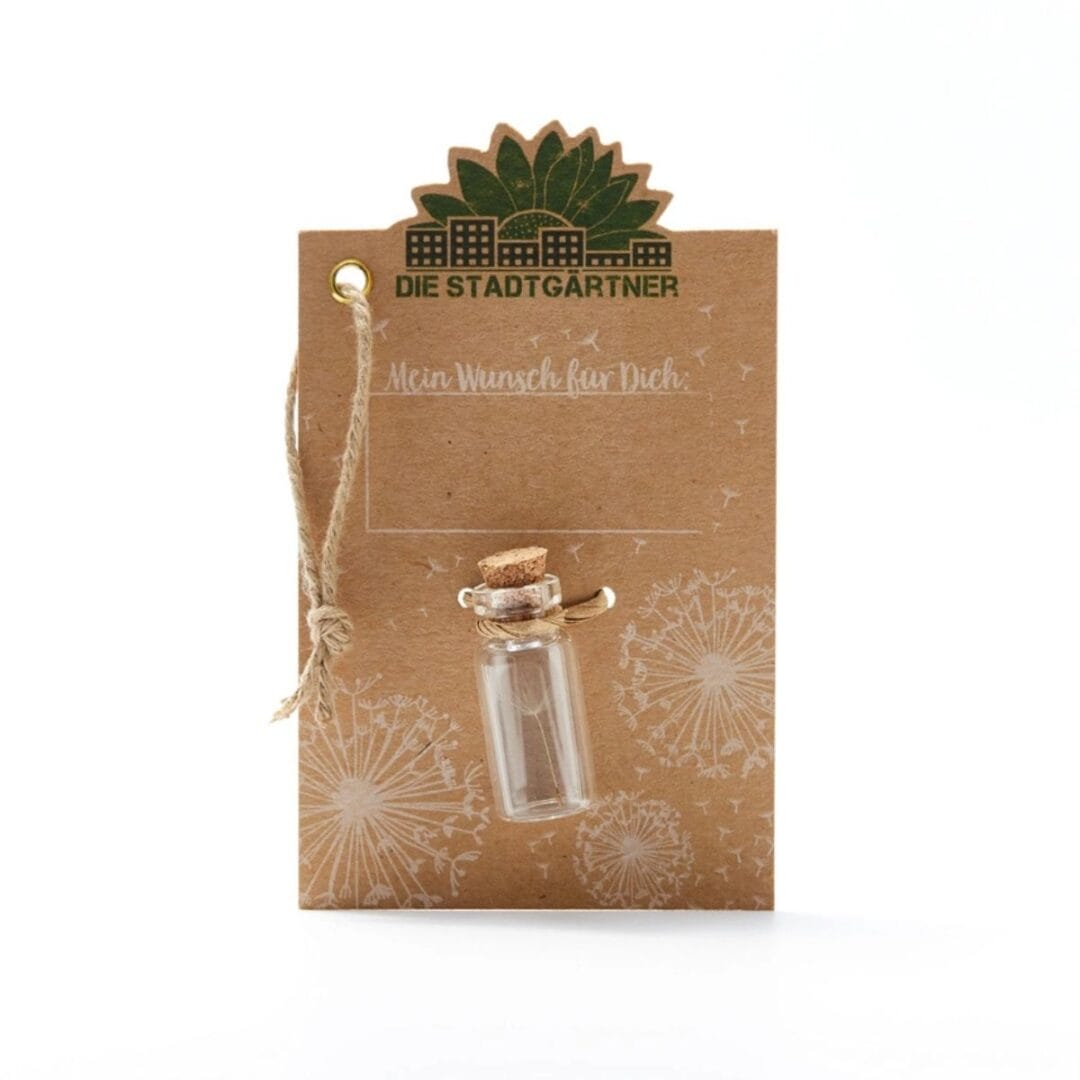 Der Wunscherfüller mit einer handgepflückten Pusteblume.