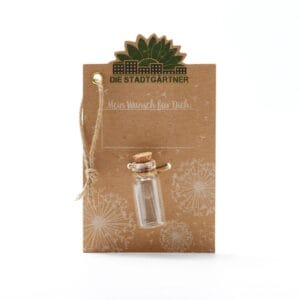 Der Wunscherfüller mit einer handgepflückten Pusteblume.