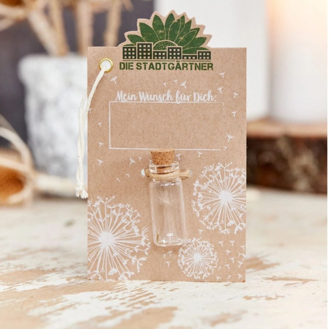 Der Wunscherfüller mit einer handgepflückten Pusteblume.