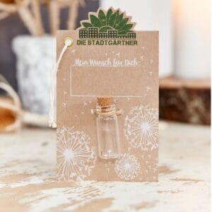 Der Wunscherfüller mit einer handgepflückten Pusteblume.