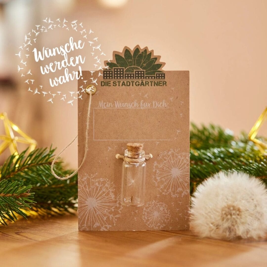 Der Wunscherfüller mit einer handgepflückten Pusteblume.