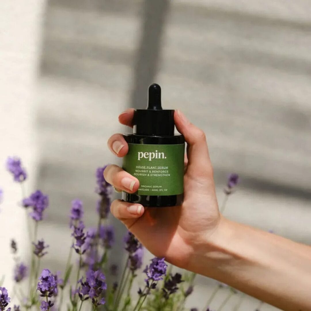 100% natürlicher Pflanzendünger aus Meeresalgen, hergestellt in der Bretagne. 60 ml reichen für 150 L Giesswasser. Für Monstera, Ficus & Co.