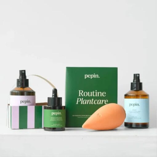 4-teiliges Pflegeset für Zimmerpflanzen: Reinigungsspray, Mini-Olla, Algen-Dünger, Schutz-Toner. Wochenroutine in einer Geschenkschachtel.
