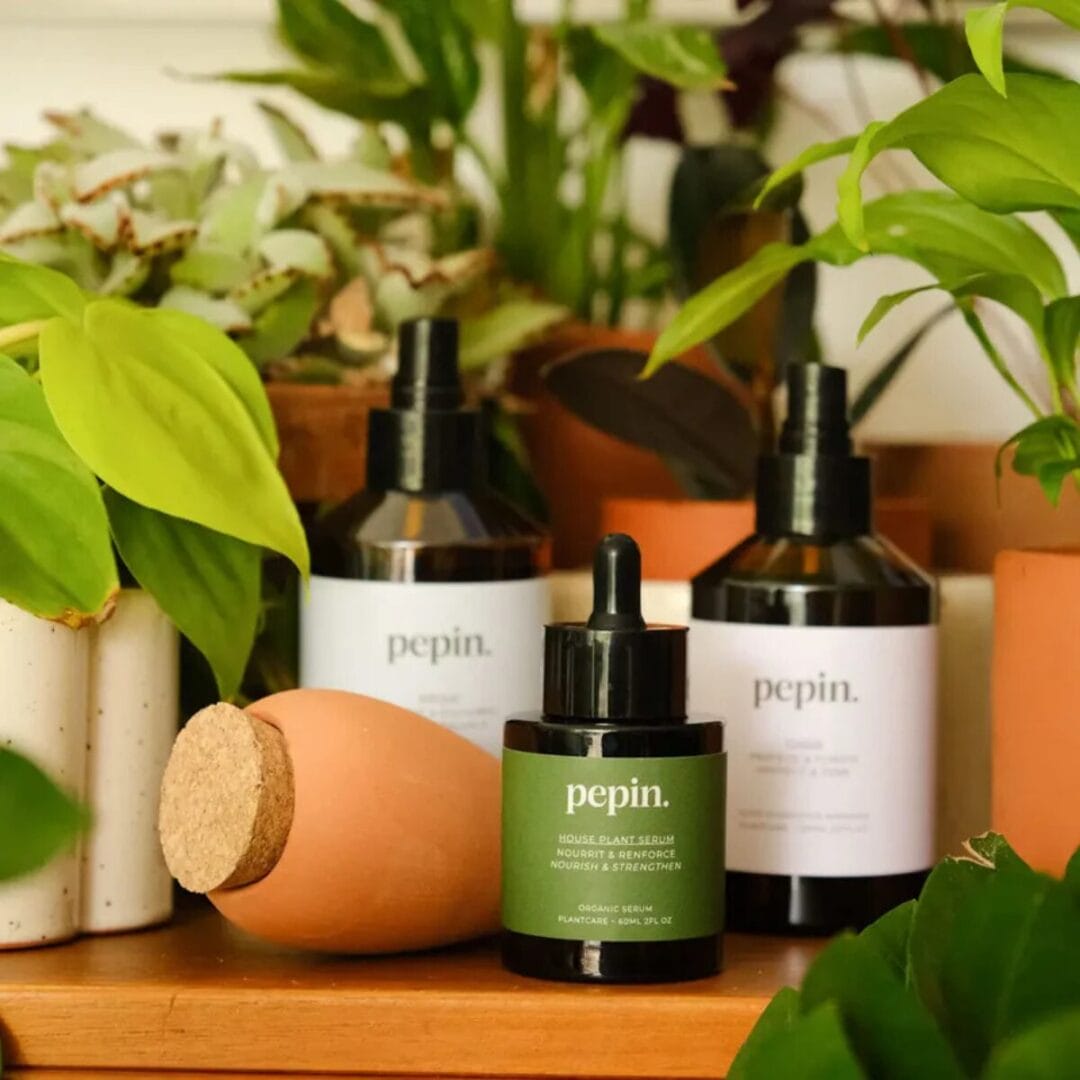 4-teiliges Pflegeset für Zimmerpflanzen: Reinigungsspray, Mini-Olla, Algen-Dünger, Schutz-Toner. Wochenroutine in einer Geschenkschachtel.