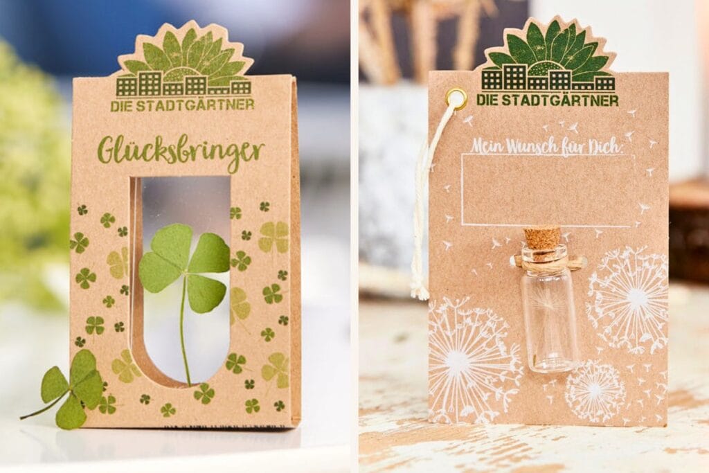 Vierblättriges Kleeblatt und Pusteblume von den Stadtgärtnern – Glück zum Verschenken, zum Beispiel als Abschiedsgeschenk für Lehrpersonen