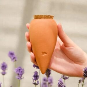 Drei kleine Tonkrüge, die deine Zimmerpflanzen automatisch giessen. Handgefertigt in Portugal aus mikroporöser Terracotta. In 4 Designs.