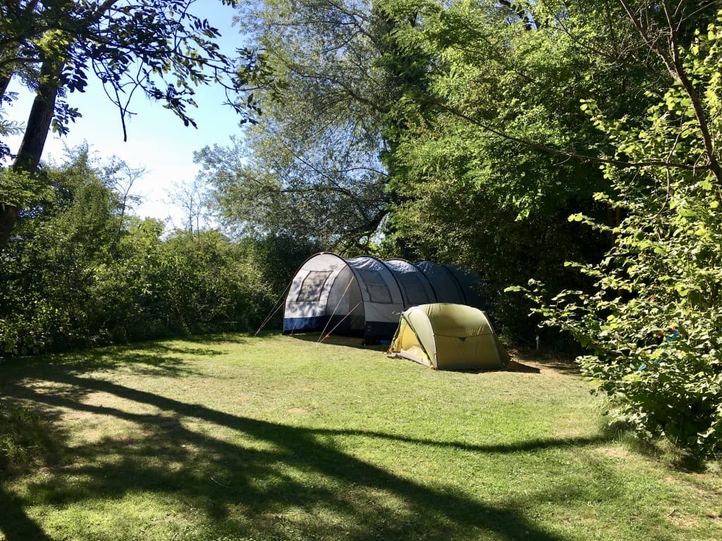Zwei Zelte, umgeben von Bäumen, beim TCS Camping Flaach. Die besten Campingplätze für Familien – unsere Empfehlungen