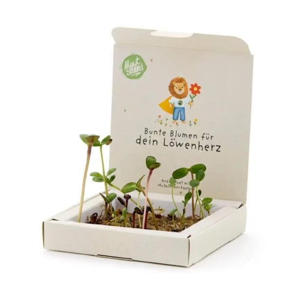 Pflanzkästchen mit Wildblumensaatgut zum Schulanfang – nachhaltig, bio-zertifiziert, direkt bepflanzbar. Das kreative Geschenk für Kinder.
