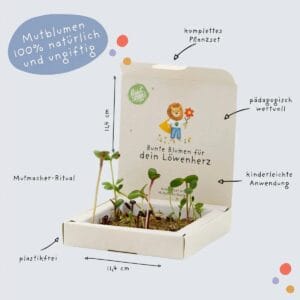 Pflanzkästchen mit Wildblumensaatgut zum Schulanfang – nachhaltig, bio-zertifiziert, direkt bepflanzbar. Das kreative Geschenk für Kinder.