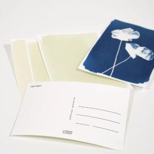 Cyanotypie-Postkarten-Set: 10 vorbereitete Postkarten für Sonnendrucke unterwegs. Nachhaltig verpackt, hergestellt in Frankreich. Ideal für die Ferien.