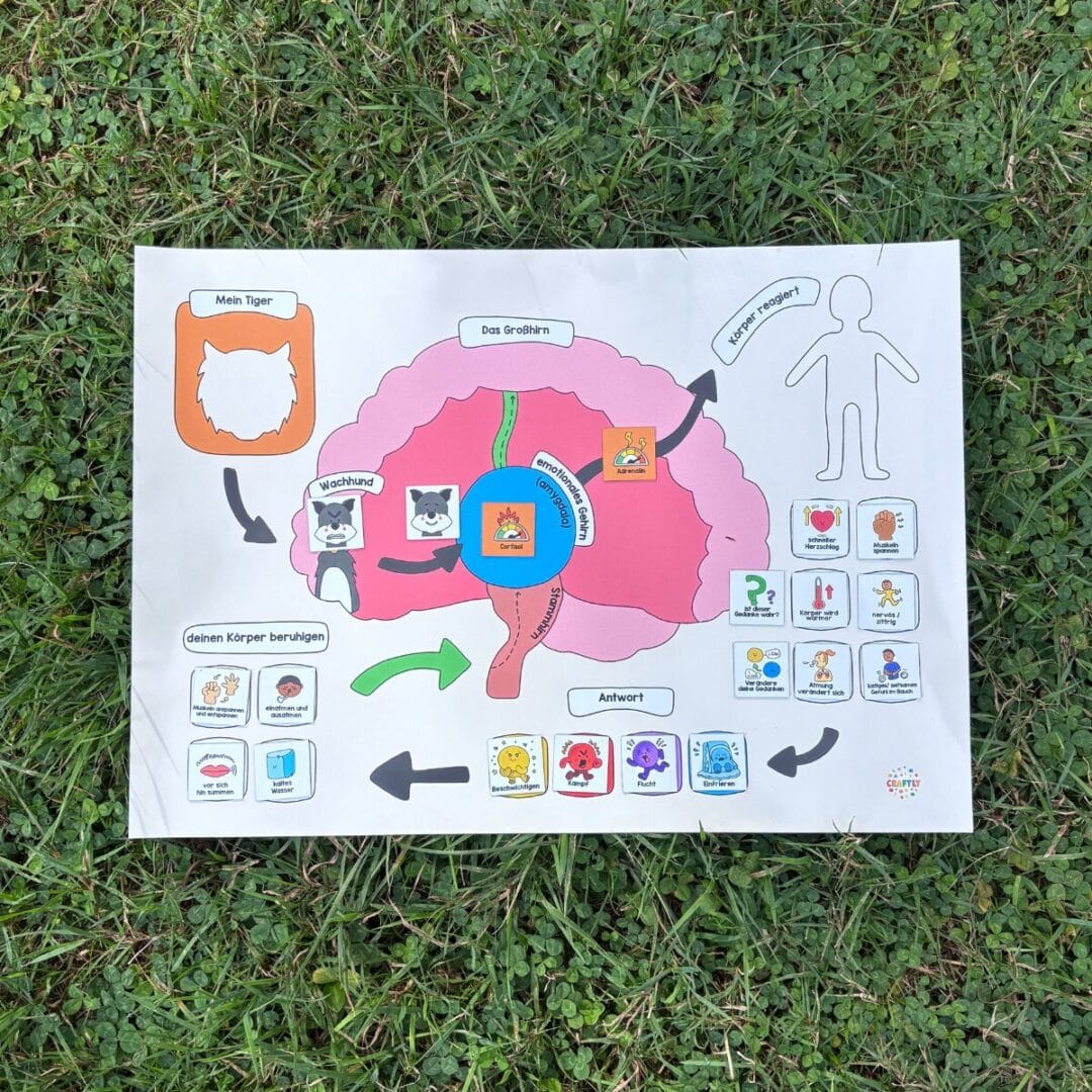 Interaktive Magnetmatte, mit der Kinder ihr Gehirn und ihr Bedrohungssystem verstehen lernen. Inkl. deutschem Booklet, exklusiv bei mal ehrlich.