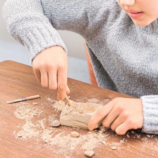 Mini-Ausgrabungsset «Expedition Natur»: Fundstück mit Meissel und Pinsel freilegen. Sechs Themen von Fossilien bis Münzen, inkl. Sammelkarte. Ab 6 Jahren.