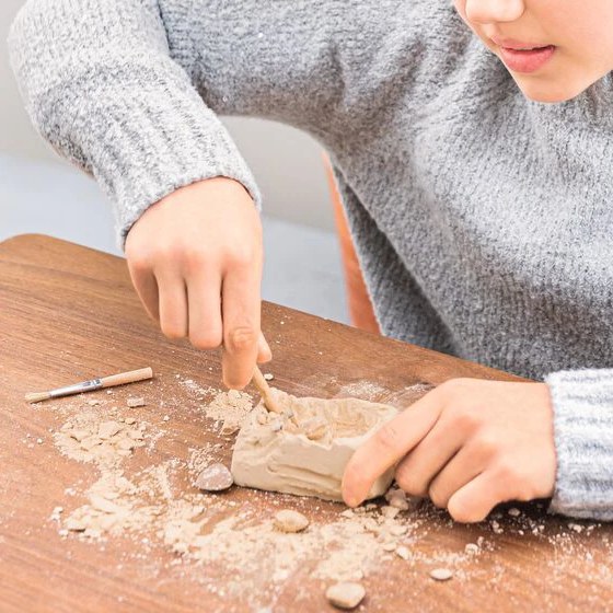 Mini-Ausgrabungsset «Expedition Natur»: Fundstück mit Meissel und Pinsel freilegen. Sechs Themen von Fossilien bis Münzen, inkl. Sammelkarte. Ab 6 Jahren.